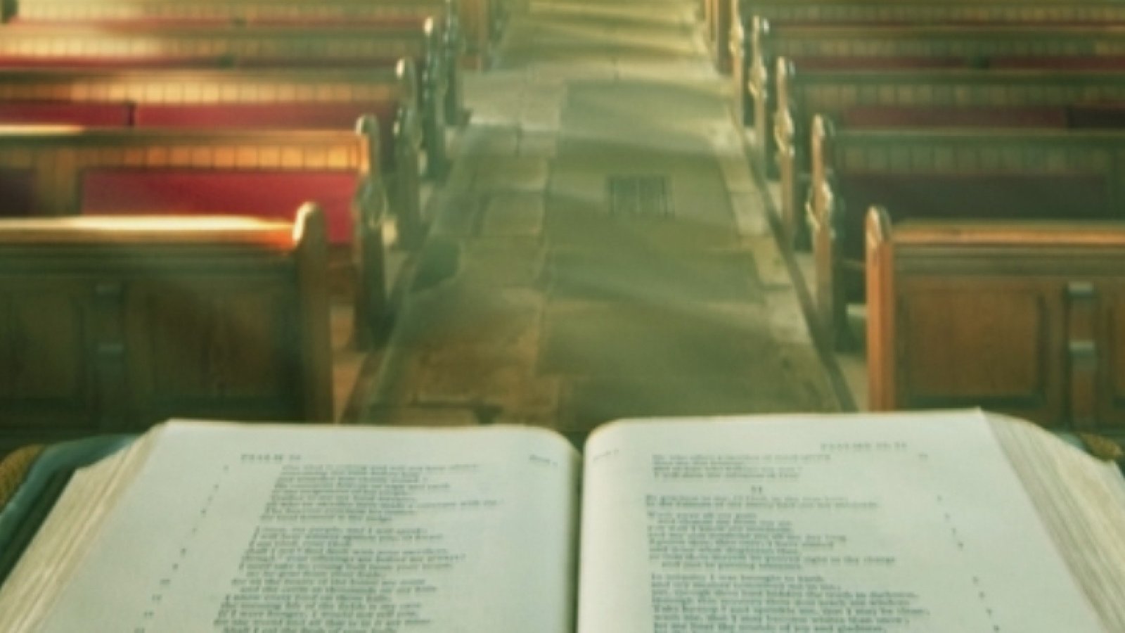 1 Timothy 2 4 - Free Christian Wallpaper Download