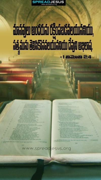 1 Timothy 2 4 - Free Christian Wallpaper Download